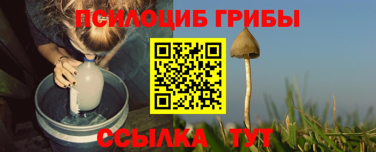 Галлюциногенные грибы прущие грибы  Вход с VPN  Всеволожск 